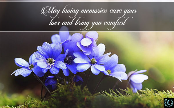 words of comfort for loss of family member purple flowers