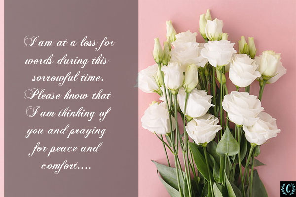 words of comfort for loss of family member white flower